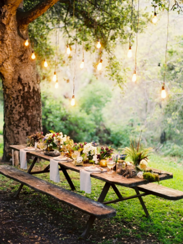 Meja piknik di bawah pohon